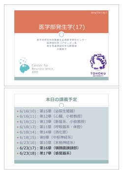 医学部発ে学(17) - 東北大学大学院医学系研究科 発生発達神経科学分野