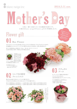 ・ bー己nC neige inC