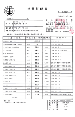 計量証明書1（別紙2）