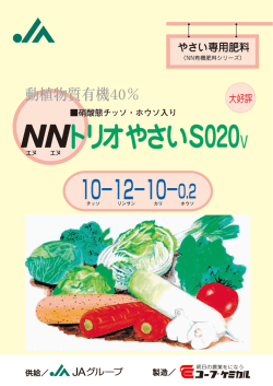 512 NNトリオやさい表