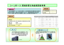 シーンⅣー3 環境影響生物基礎調査事業