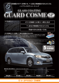 言皆濯RD GLASS C。ATーNG