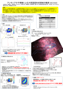 アンモニア分子輝線による大質量星形成領域の