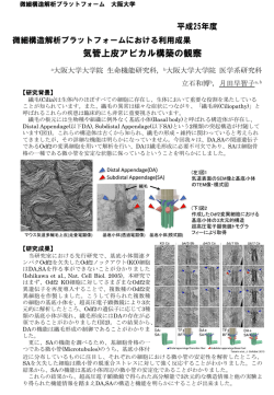 H25 実施例 - 超高圧電子顕微鏡センター