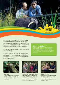 屋外キーウィ観察エリア - Rainbow Springs