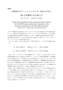 (HNS)系ポテンシャルエネルギー曲面の作成と NS 生成機構の反応動力学