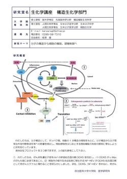 生化学講座 構造生化学部門