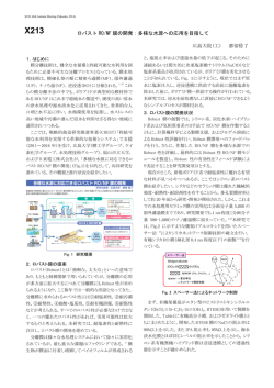 ロバスト RO/NF 膜の開発：多様な水源への応用を目指して