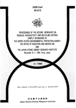 JAERI-Conf-95