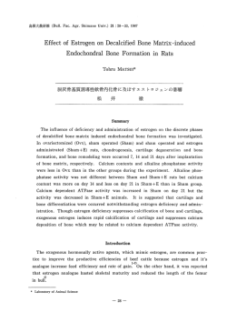 Effect 。f EStr。gen 。n Decaーcified B。ne Matrix~induced