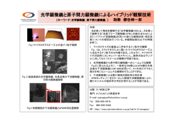 内容： 光を使って物体を観察する「光学顕微鏡(OM)」と、力を使っ て観察