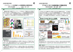PDF形式(628KB)