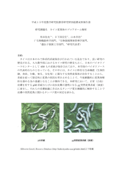 角田 佳充、日下部 宜宏、山本 幸治