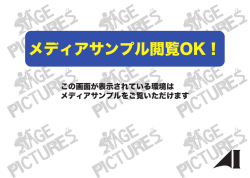 WEB用 メディアサンプル表示OK
