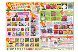 10.17 ナカツタヤOL