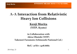 LL Interaction from Relativistic Heavy Ion Collisions