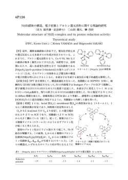 Ni(II)錯体の構造、電子状態とプロトン還元活性に関する理論的研究