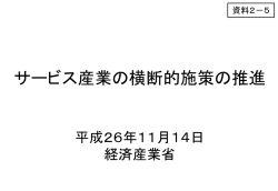 サービス産業の横断的施策の推進