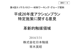 （触媒領域：常木様）（PDF形式：139KB）
