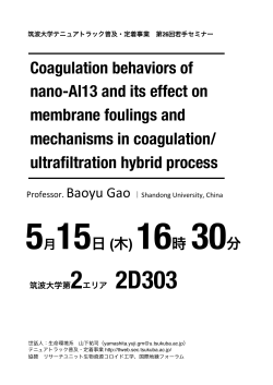 Coagulation behaviors of nano-Al13 and its effect on membrane