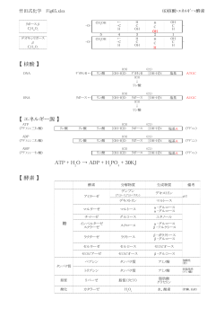 【核酸】 【エネルギー源】 ATP + H O → ADP + H PO + 30KJ 【酵素】