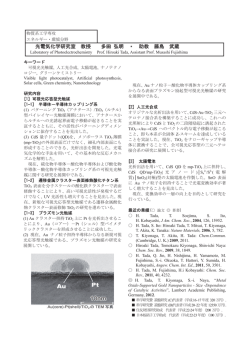 詳細PDF
