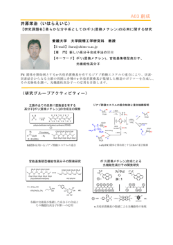 A03 創成 - 新学術領域研究「柔らかな分子系」
