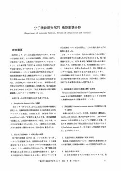 分子機能研究部門 機能形態分野