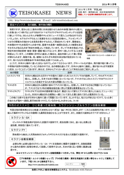 表 - 帝装化成