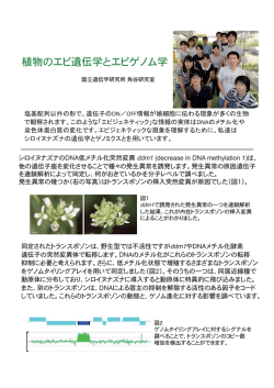 資料 (PDF:192KB)