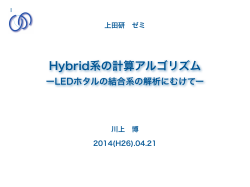 Hybrid系の計算アルゴリズム