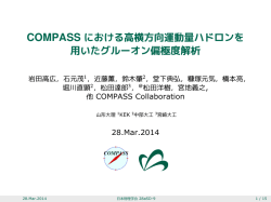 28aSD-9 - Compass