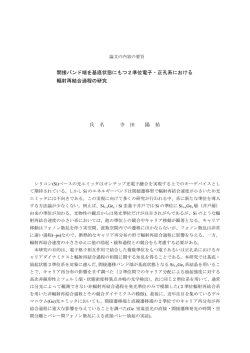 要旨を表示する
