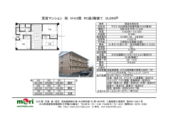 賃貸マンション 桜 H14.8築 RC造3階建て 3LDK9戸