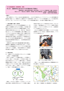 RC-20 「盛岡市内におけるカラスの行動分析と可視化」