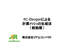 2. RC-Elevgen - RIAM