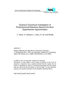 Quantum Dynamical Investigation of Photochemical