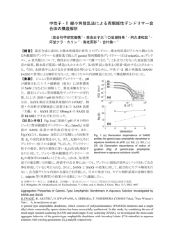 中性子・X 線小角散乱法による両親媒性デンドリマー会 合体の構造解析