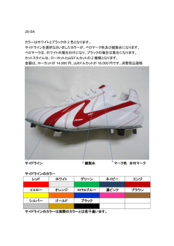 JS-SA カラーはホワイトとブラックの 2 色となります。 サイドラインを選択