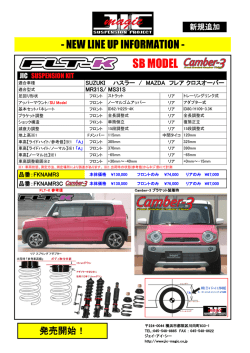 SB MODEL