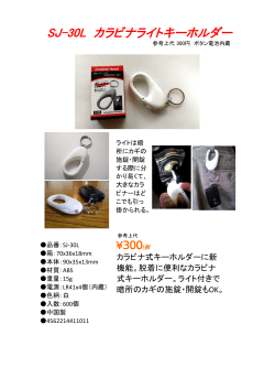 SJ-30L提案書(pdf) - shoei.server