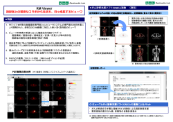RM Viewer