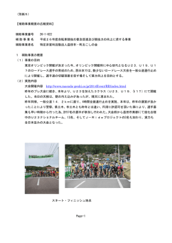 補助事業概要の広報資料
