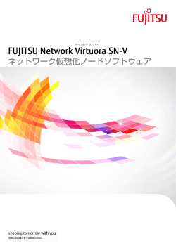 FUJITSU Network Virtuora SN-V