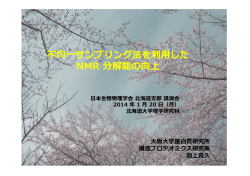 (Japanese) pdf ファイル