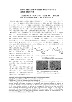 抗がん活性化合物 SN-38 誘導体のナノ粒子化と 分散安定性の評価