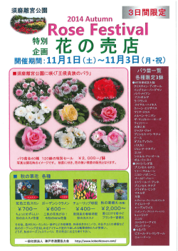 R。SG Festiaー
