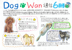 SS ti辞 辞 - Dog・Wan