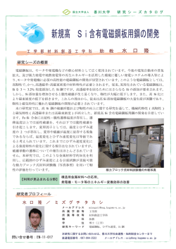 新規高Si含有電磁鋼板用鋼の開発