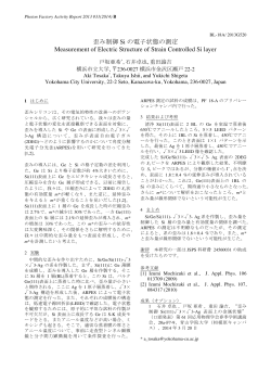 2013PFactivity report (修正)-1